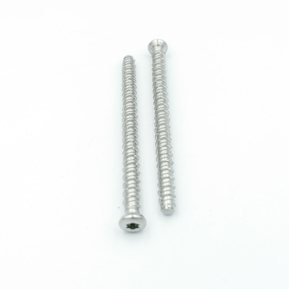 Bit Torx